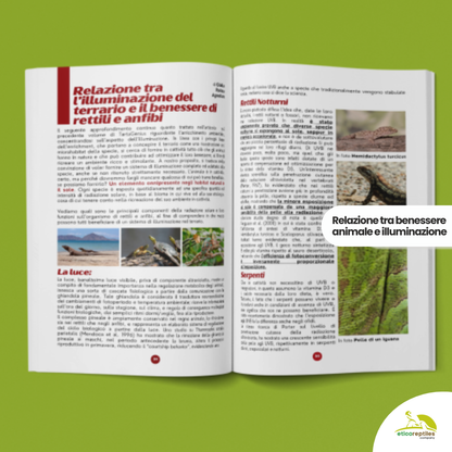 TartaGenius n°3 Pseudemys spp e Stigmochelys pardalis