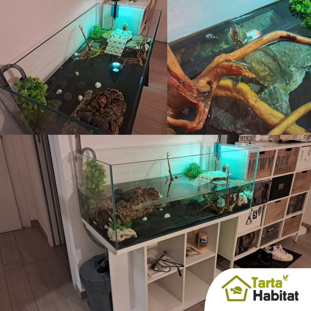Tarta Habitat Acquario per tartarughe d'acqua