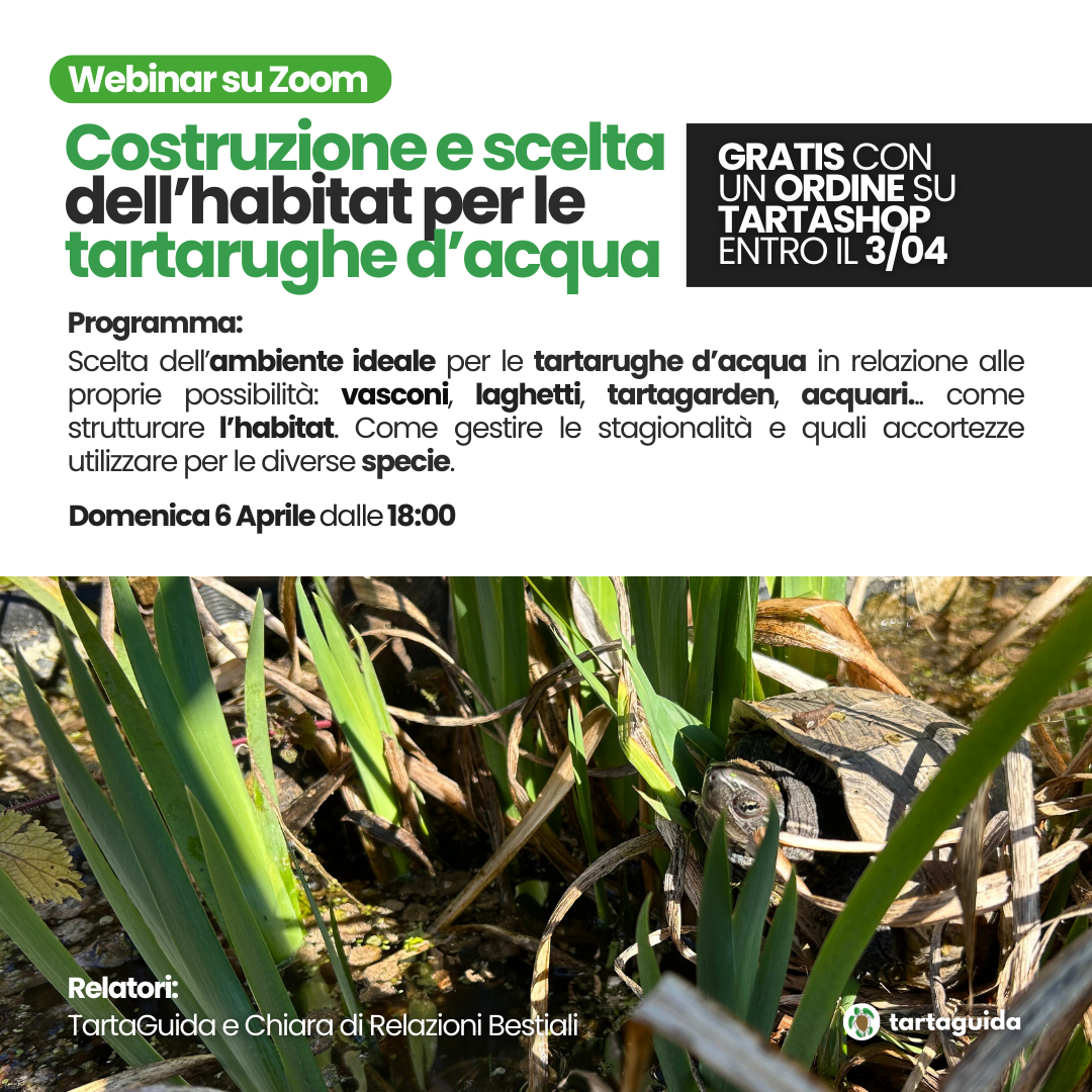Webinar allestimento habitat tartarughe d'acqua dolce
