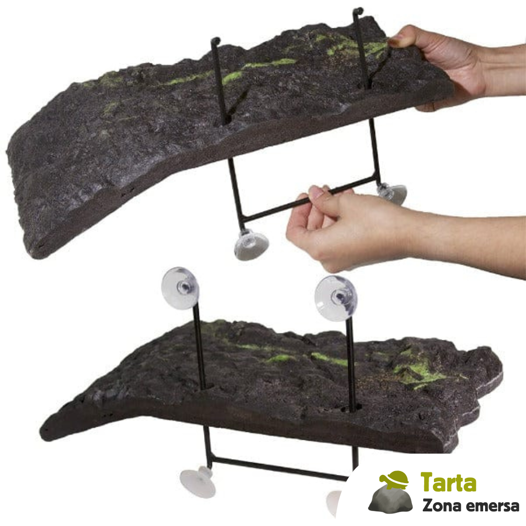 Zona emersa galleggiante per tartarughe con ventose rigide