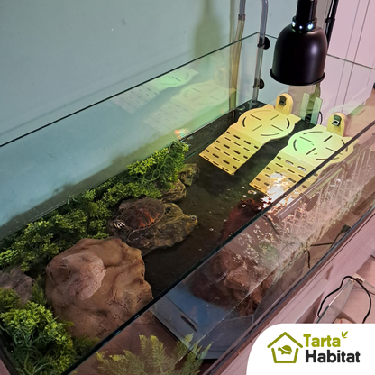 Tarta Habitat Acquario per tartarughe d'acqua 100x50x40/50 h cm