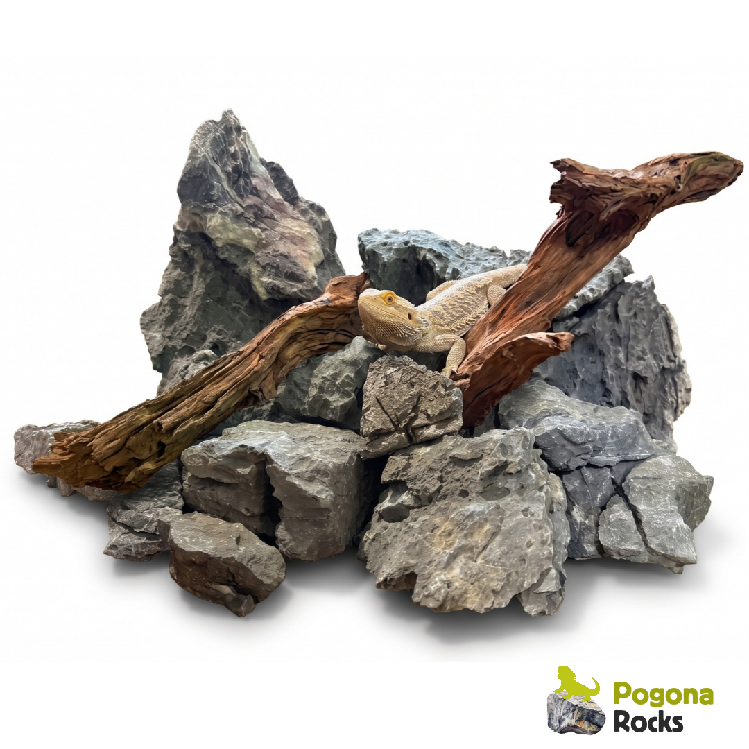 Combo habitat rocce e legni per terrario Pogona vitticeps