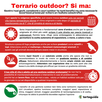 Geco habitat outdoor per sauri: terrario in rete 76x42x122 h cm