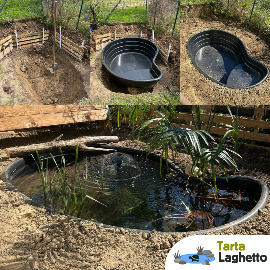 laghetto per tartarughe 700 litri