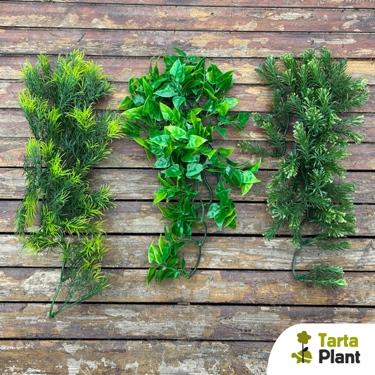 Legno Per Acquario Radice Di Albero - Decorazione Naturale Per Pesci, Tartarughe - Regola PH, Nascondiglio - Foto 6