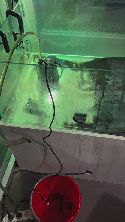 Pompa a immersione per svuotaggio acquari con tartarughe