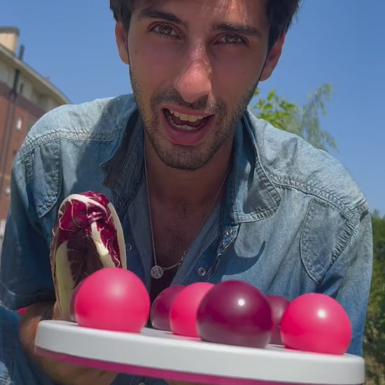 Balls strategy gioco di attivazione mentale per tartarughe