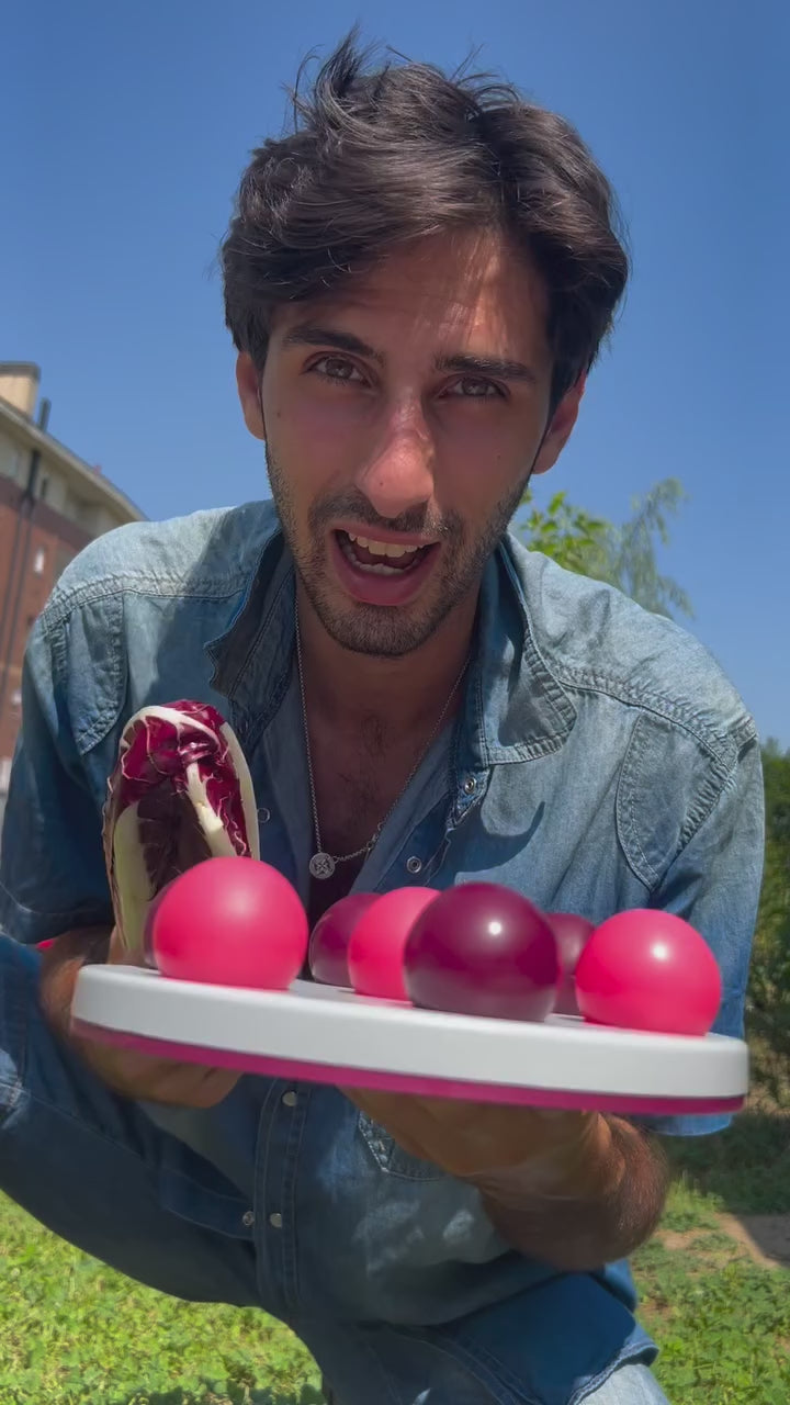 Balls strategy gioco di attivazione mentale per tartarughe