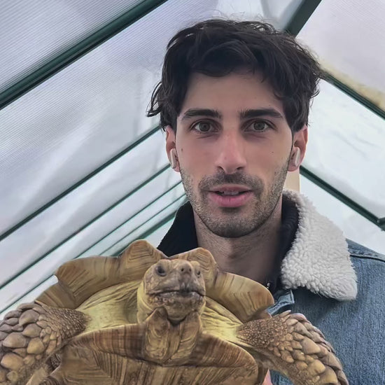 Supporto per portalampada rettili professionale fino a 180 cm 