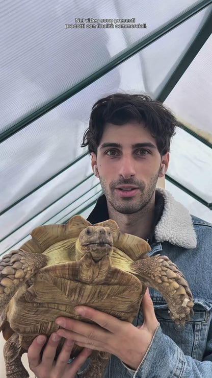 Supporto per portalampada rettili professionale fino a 180 cm 