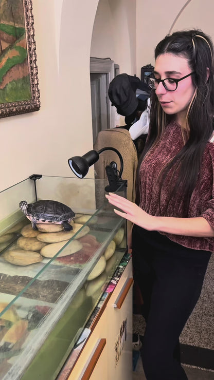 Tarta Habitat Acquario per tartarughe d'acqua 100x50x40/50 h cm