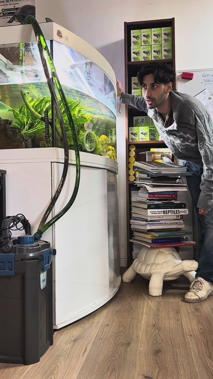 Tarta Habitat Acquario per tartarughe d'acqua 100x50x40/50 h cm