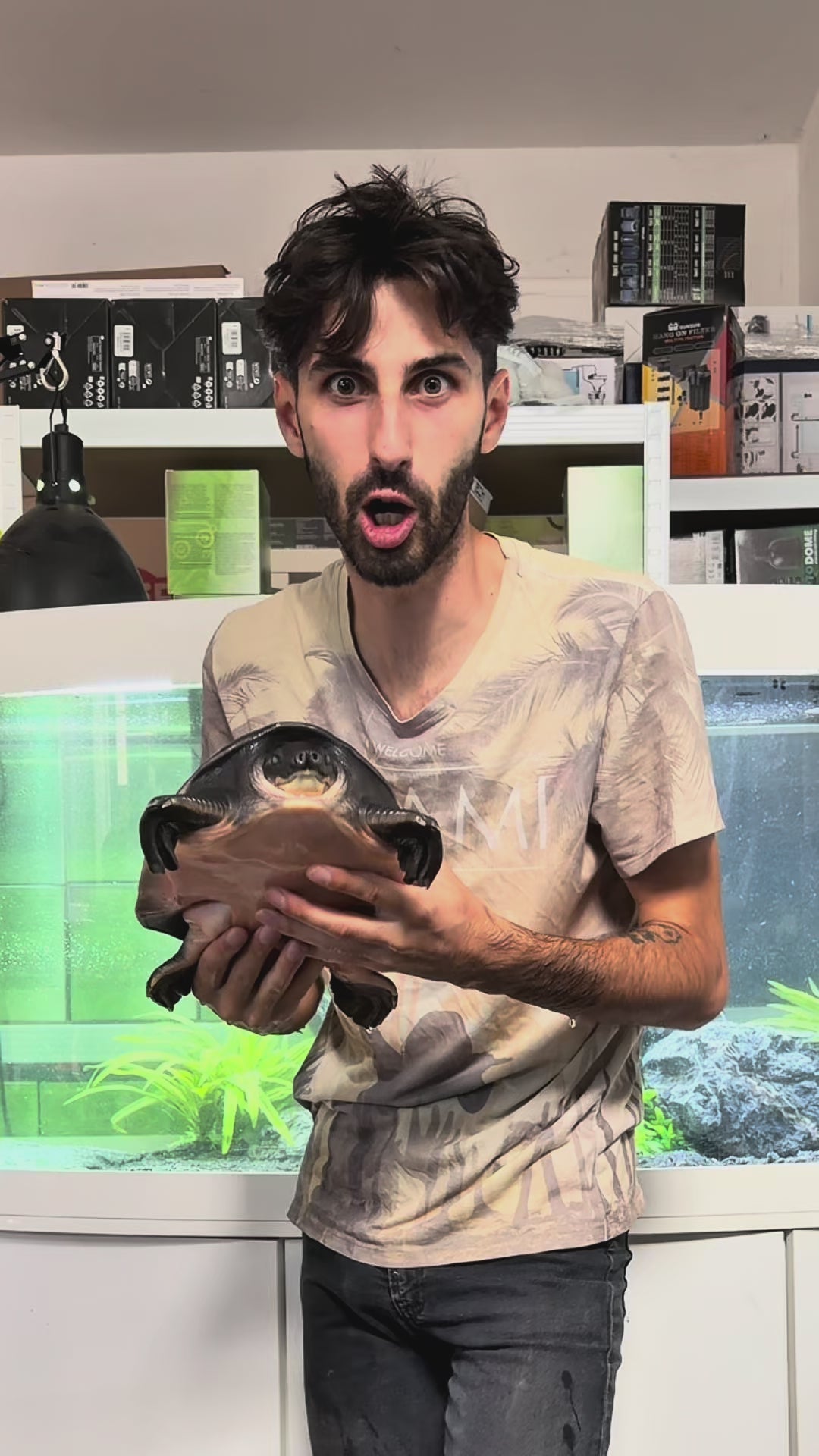 Kit di allestimento acquario tartarughe d'acqua 