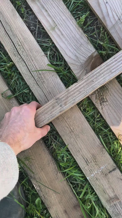 Laghetto per tartarughe: piattaforma rigida da 780 litri