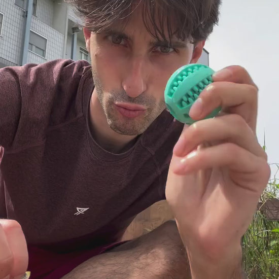 Mini Tarta SGNACK - gioco di attivazione mentale per tartarughe d'acqua 