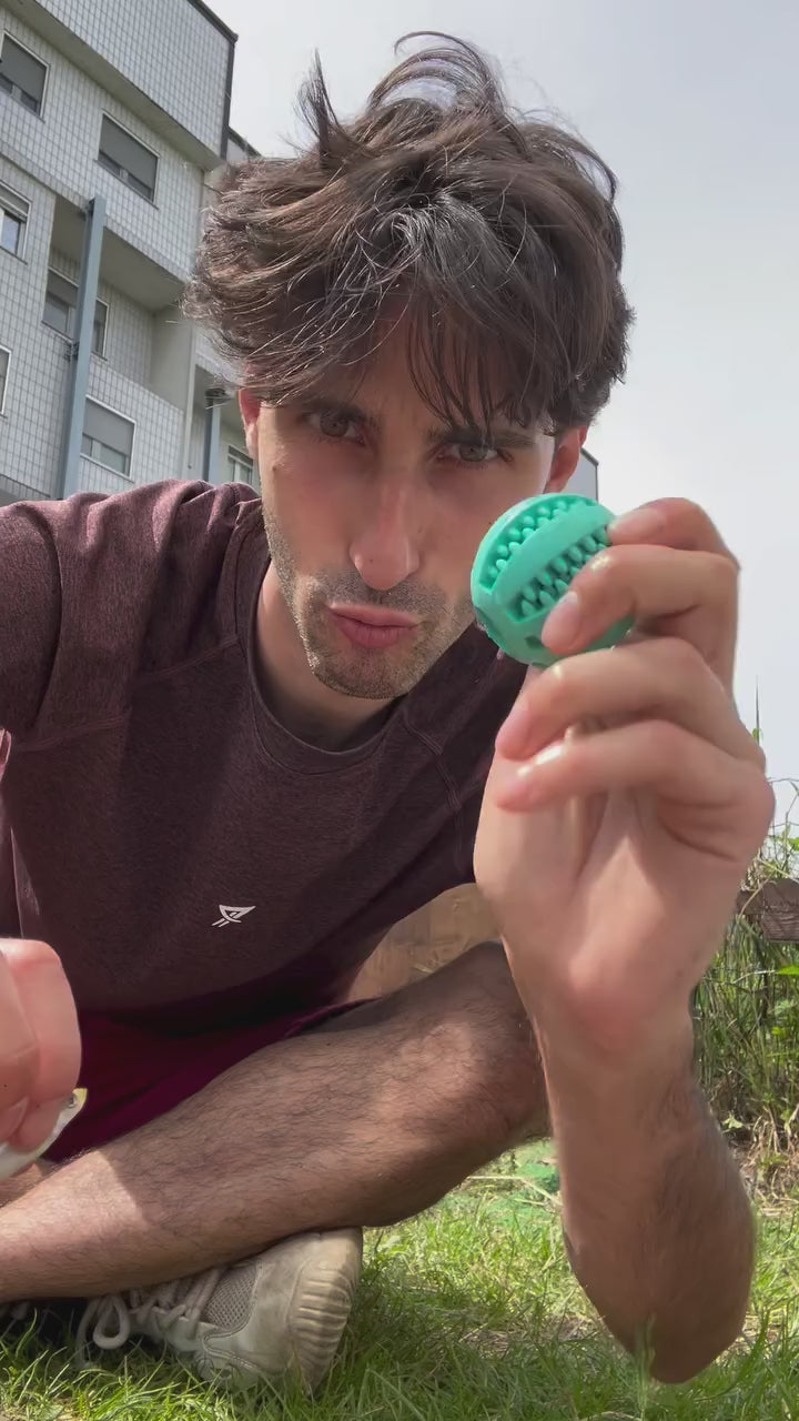Mini Tarta SGNACK - gioco di attivazione mentale per tartarughe d'acqua 