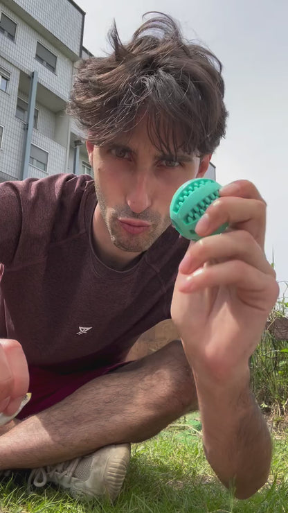 Mini Tarta SGNACK - gioco di attivazione mentale per tartarughe d'acqua 