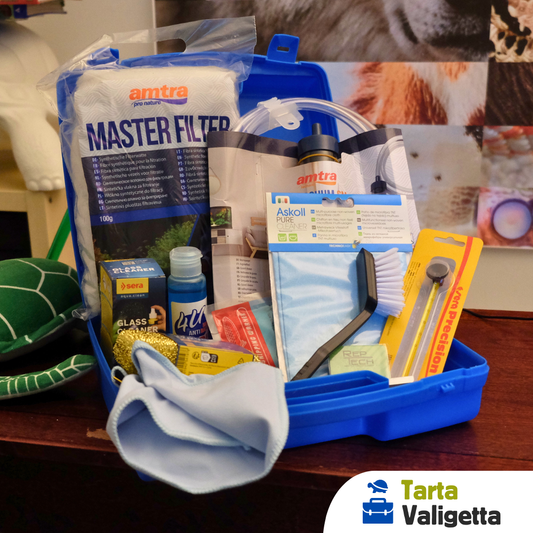 TartaValigetta: tutto l'occorrente per la pulizia degli acquari con tartarughe