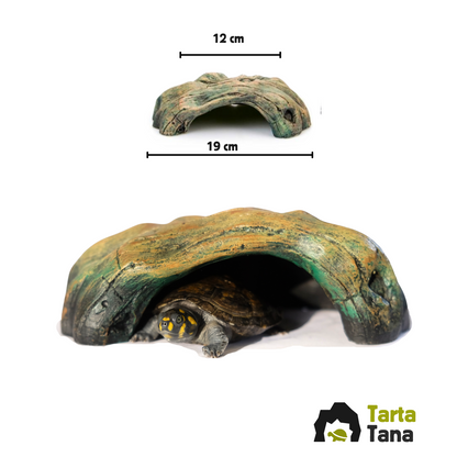 Tana per tartarughe