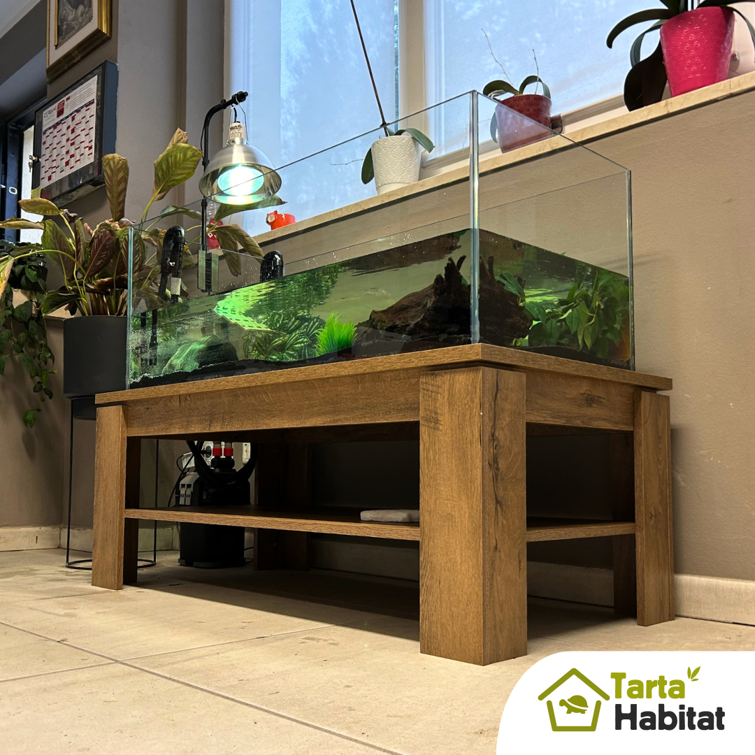 Tarta Habitat Acquario per tartarughe d'acqua 100x50x40 h cm