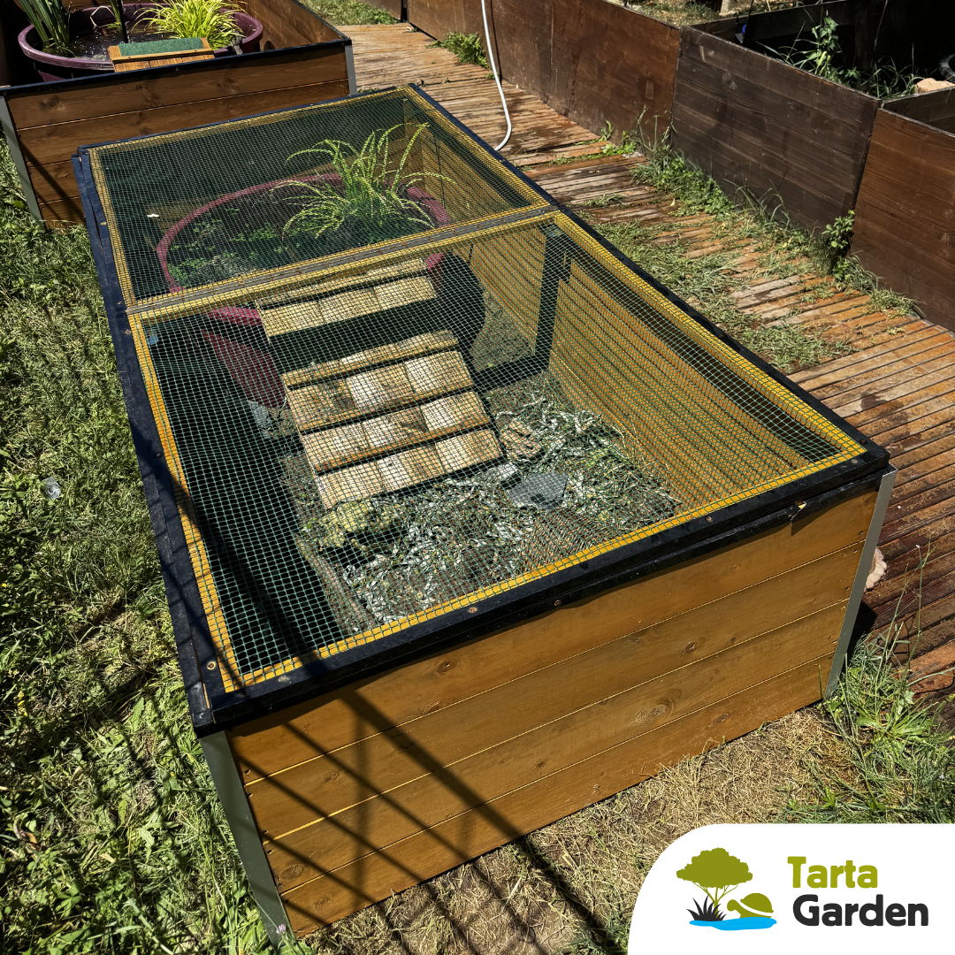 tartagarden_recinto_tartarughe_1
