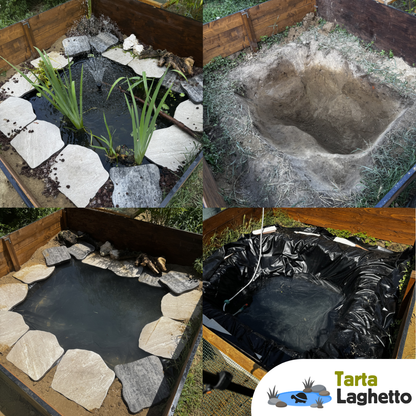 telo per laghetto tartarughe