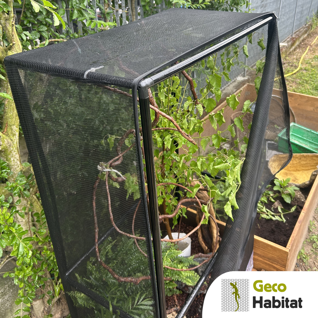 Geco habitat outdoor per sauri: terrario in rete 76x42x122 h cm